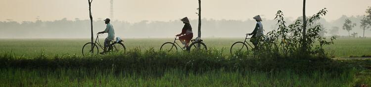 Indonesian Indonesian